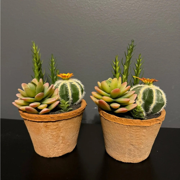 Fake succulent decor set of 2 - Picture 1 of 8